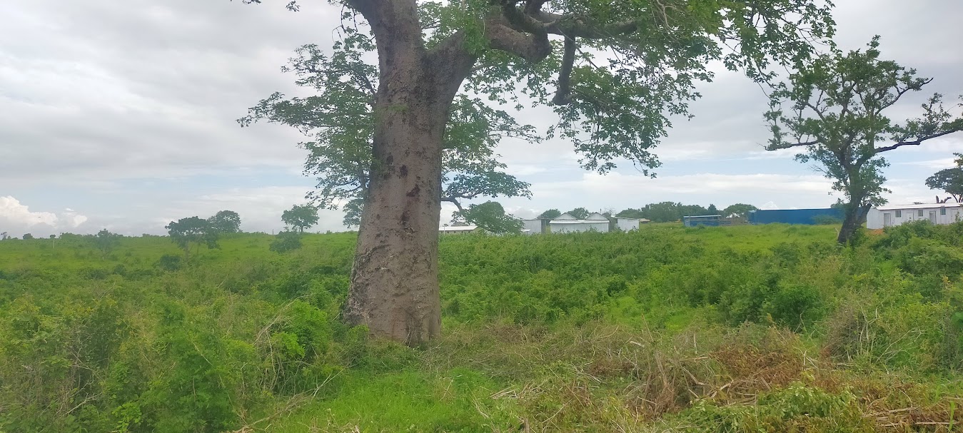 Mavueni Phase2 plots Kilifi