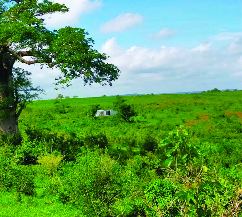 Kilifi